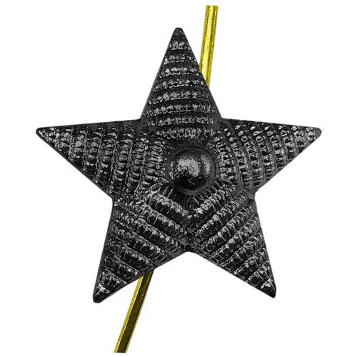 9 (1)